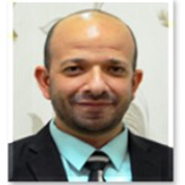 Mohamed Mahmoud Harb